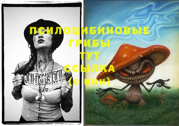 твердый Карпинск