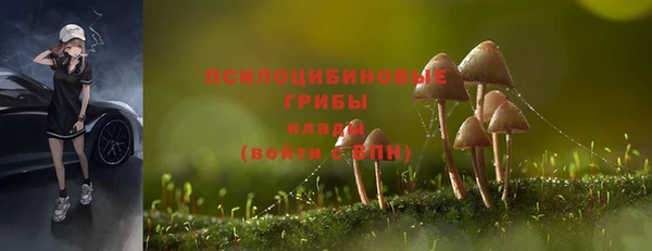 меф Снежногорск