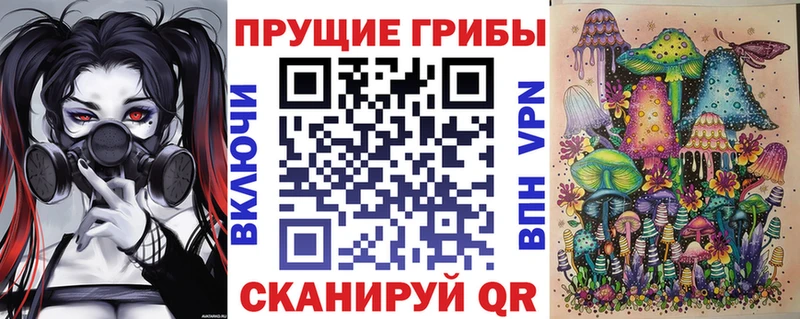 Галлюциногенные грибы Psilocybe  Купить закладки  Жирновск 